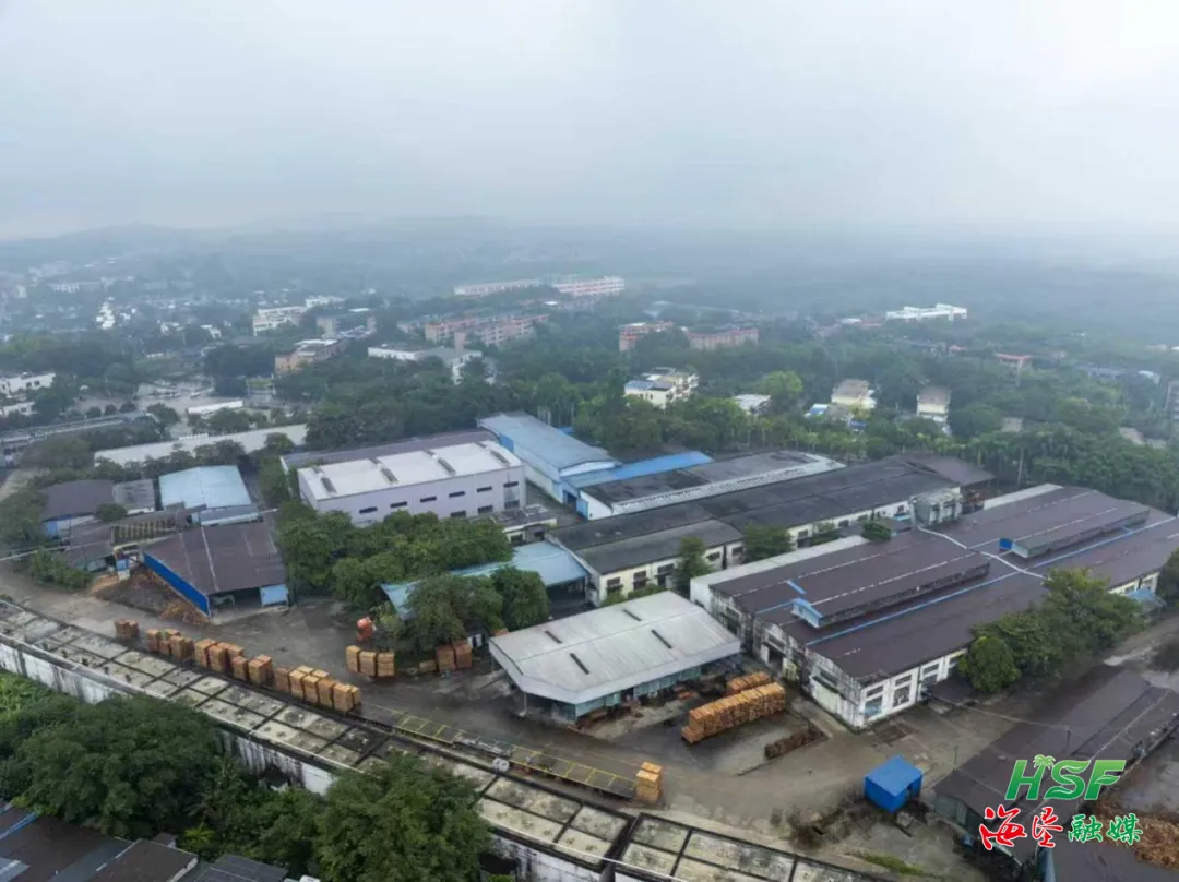 從深陷困局到實現盈利！看海南橡膠林產改革“三步棋”走活一盤棋